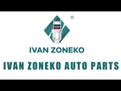 Ivan Zoneko - Receptie.