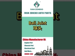 Ivan Zoneko-Kogelgewricht